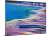 Pattern in Bacterial Mat, Midway Geyser Basin, Yellowstone National Park, Wyoming, USA-Adam Jones-Mounted Photographic Print