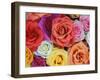 Pattern in Basket of Roses, Louisville, Kentucky, USA-Adam Jones-Framed Premium Photographic Print