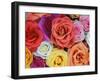 Pattern in Basket of Roses, Louisville, Kentucky, USA-Adam Jones-Framed Premium Photographic Print