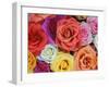 Pattern in Basket of Roses, Louisville, Kentucky, USA-Adam Jones-Framed Premium Photographic Print