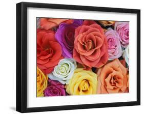 Pattern in Basket of Roses, Louisville, Kentucky, USA-Adam Jones-Framed Photographic Print