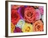 Pattern in Basket of Roses, Louisville, Kentucky, USA-Adam Jones-Framed Photographic Print