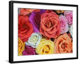 Pattern in Basket of Roses, Louisville, Kentucky, USA-Adam Jones-Framed Photographic Print