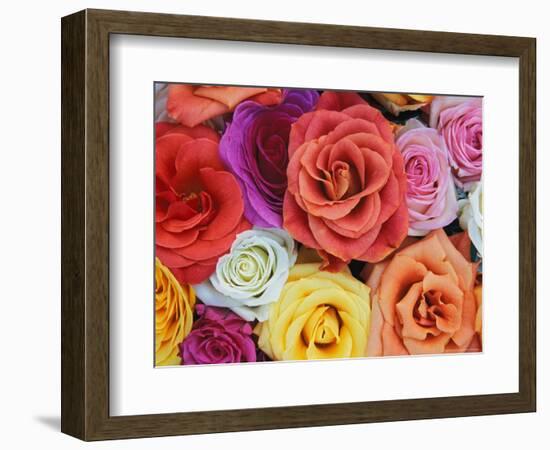 Pattern in Basket of Roses, Louisville, Kentucky, USA-Adam Jones-Framed Photographic Print