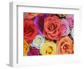 Pattern in Basket of Roses, Louisville, Kentucky, USA-Adam Jones-Framed Photographic Print