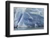 Pattern in blue ice of Grey Glacier, Torres del Paine National Park, Chile, Patagonia-Adam Jones-Framed Photographic Print