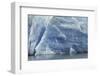 Pattern in blue ice of Grey Glacier, Torres del Paine National Park, Chile, Patagonia-Adam Jones-Framed Photographic Print