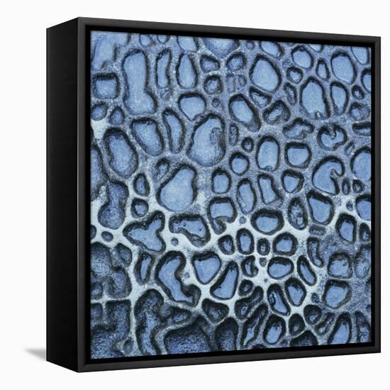 Pattern in Wet Stone-Micha Pawlitzki-Framed Stretched Canvas