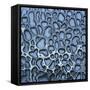 Pattern in Wet Stone-Micha Pawlitzki-Framed Stretched Canvas