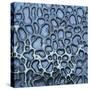 Pattern in Wet Stone-Micha Pawlitzki-Stretched Canvas