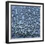 Pattern in Wet Stone-Micha Pawlitzki-Framed Photographic Print