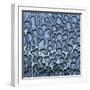 Pattern in Wet Stone-Micha Pawlitzki-Framed Photographic Print