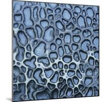 Pattern in Wet Stone-Micha Pawlitzki-Mounted Photographic Print