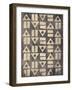 Pattern Mate Gray-Jace Grey-Framed Art Print