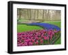 Pattern of Grape Hyacinth, Keukenhof Gardens, Lisse, Netherlands-Adam Jones-Framed Photographic Print