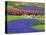 Pattern of Grape Hyacinth, Keukenhof Gardens, Lisse, Netherlands-Adam Jones-Stretched Canvas