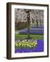 Pattern of tulips and Grape Hyacinth flowers, Keukenhof Gardens, Lisse, Netherlands-Adam Jones-Framed Photographic Print