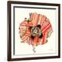 Pattern Poppy-Stripes-Robbin Rawlings-Framed Art Print