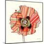 Pattern Poppy-Stripes-Robbin Rawlings-Mounted Art Print