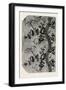 Pattern, Swiss Silk, Canton of Zurich, Switzerland-null-Framed Giclee Print