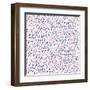Pattern with Hand Drawn Strokes and Splatters-tukkki-Framed Art Print
