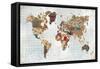 Pattern World Map Geo Background-Laura Marshall-Framed Stretched Canvas