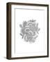 Pattern11-Neeti Goswami-Framed Art Print