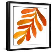 Pattern6    leaf, fern, fall colors-Robbin Rawlings-Framed Art Print