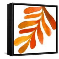 Pattern6    leaf, fern, fall colors-Robbin Rawlings-Framed Stretched Canvas