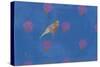 Patterned Birds - Bold-Roy Woodard-Stretched Canvas