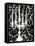 Patterned Candelabra II-Ethan Harper-Framed Stretched Canvas