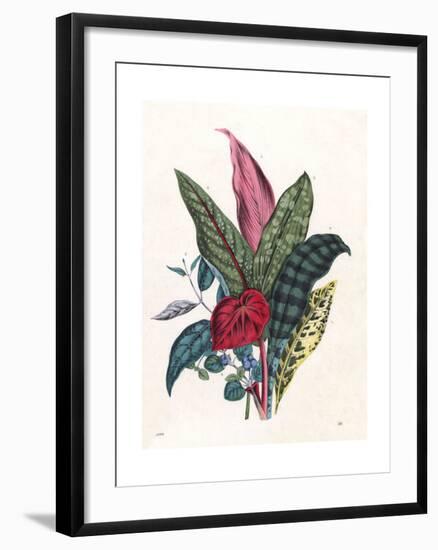 Patterned Foliage, 1860-null-Framed Giclee Print