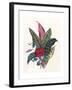 Patterned Foliage, 1860-null-Framed Giclee Print