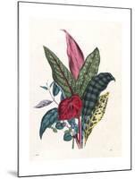 Patterned Foliage, 1860-null-Mounted Giclee Print