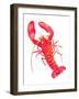 Patterned Lobster-Isabelle Brent-Framed Photographic Print