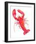 Patterned Lobster-Isabelle Brent-Framed Photographic Print