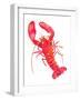 Patterned Lobster-Isabelle Brent-Framed Photographic Print