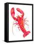 Patterned Lobster-Isabelle Brent-Framed Stretched Canvas