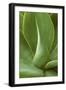 Patterned Nature I-Vision Studio-Framed Art Print