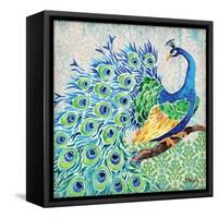 Patterned Peacock I-Paul Brent-Framed Stretched Canvas