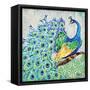 Patterned Peacock I-Paul Brent-Framed Stretched Canvas