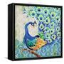 Patterned Peacock II-Paul Brent-Framed Stretched Canvas