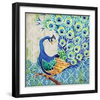 Patterned Peacock II-Paul Brent-Framed Art Print