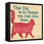 Patterned Pets Cat III-Paul Brent-Framed Stretched Canvas