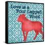 Patterned Pets Dog II-Paul Brent-Framed Stretched Canvas