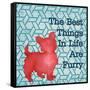 Patterned Pets Dog III-Paul Brent-Framed Stretched Canvas