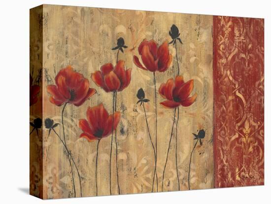 Patterned Poppy-Sandra Smith-Stretched Canvas