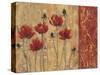 Patterned Poppy-Sandra Smith-Stretched Canvas