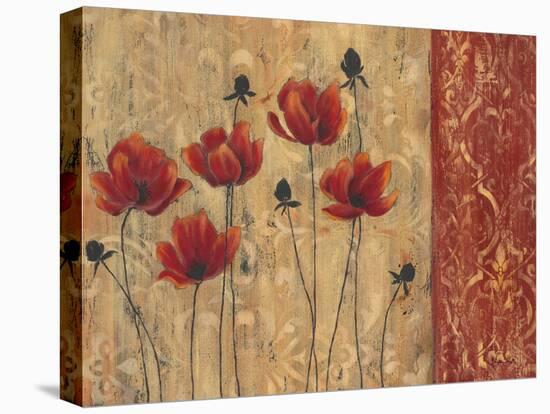 Patterned Poppy-Sandra Smith-Stretched Canvas