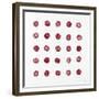 Patterned Rosette II-Tyson Estes-Framed Giclee Print